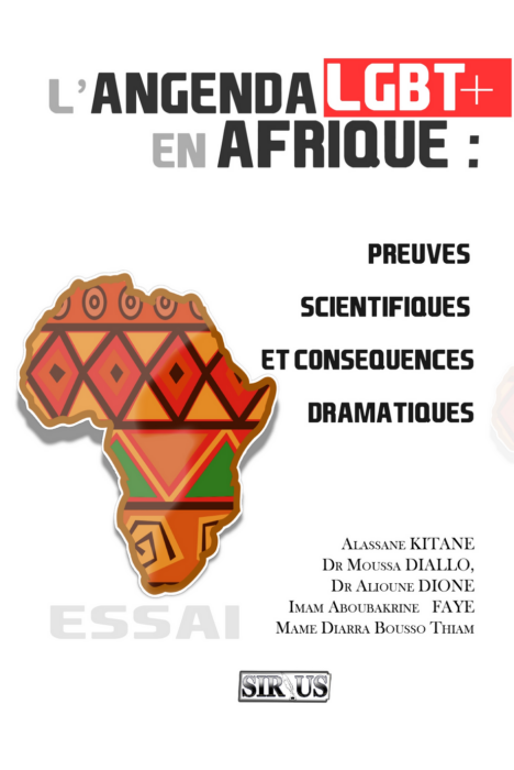 L'agenda lgbt+ en Afrique